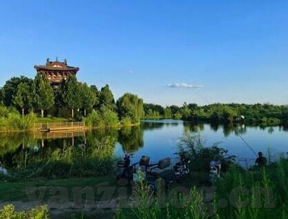 成人免费视频亚州-成人免费视频亚州，网络时代的隐忧与反思