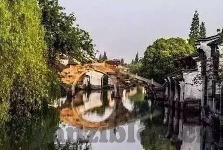 国产成人91精品免费看片麻豆-探讨国产电影佳作的多元化魅力，国产成人91精品免费看片麻豆的独特视角