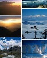 麻d传媒2022国产大象app-麻d传媒2022国产大象app，透视国产网络视频的多元化发展
