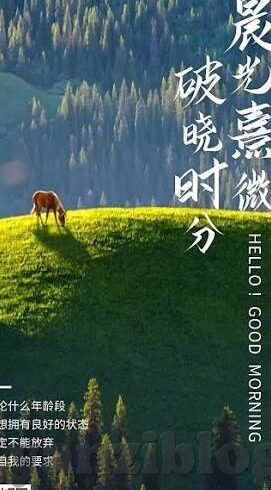 麻豆传媒破解版app-欢迎窥见数字时代的双刃剑——麻豆传媒破解版app的复杂现象