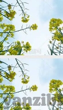 人妻奈津-平凡生活中的温暖光芒 —— 记人妻奈津的温馨日常